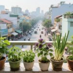 Vườn Thuốc Cộng Đồng và Mẹo Trồng Tía Tô, Sả Trên Ban Công Thành Phố