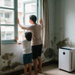 Bí quyết duy trì không khí trong lành trong nhà: Vấn đề nấm mốc ở Việt Nam và giải pháp thông minh từ quạt gió truyền thống đến máy hút ẩm hiện đại