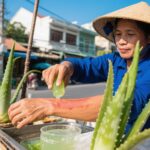 Chăm sóc da cháy nắng hiệu quả cho công nhân ngoài trời ở Việt Nam: Kết hợp nha đam truyền thống và kem dưỡng hiện đại